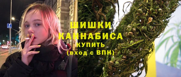 шишки Володарск